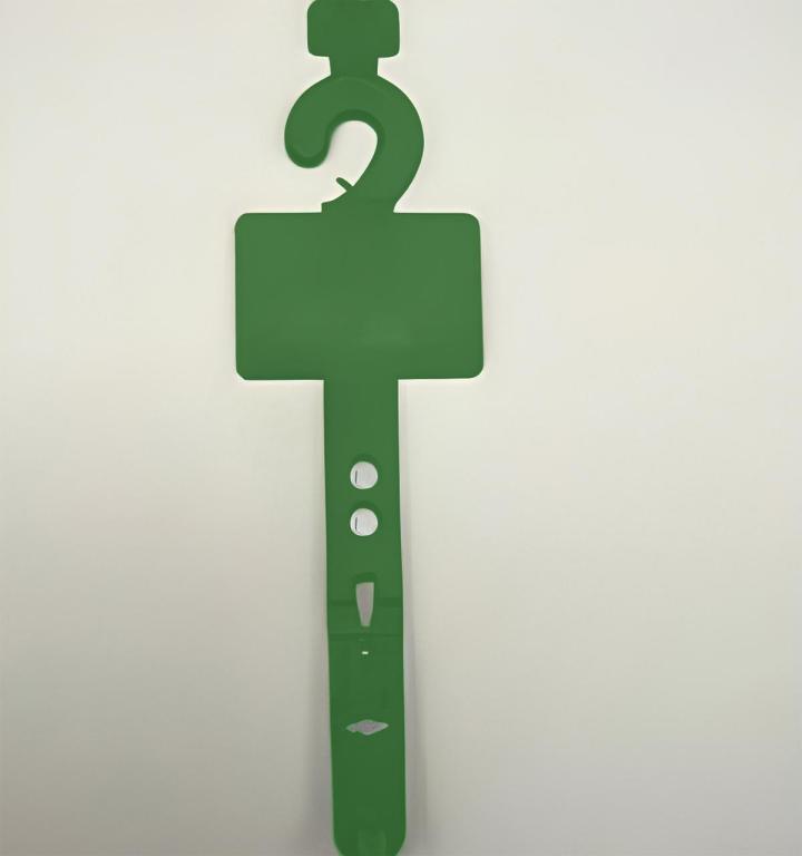 Belt hangers Saint-Laurent