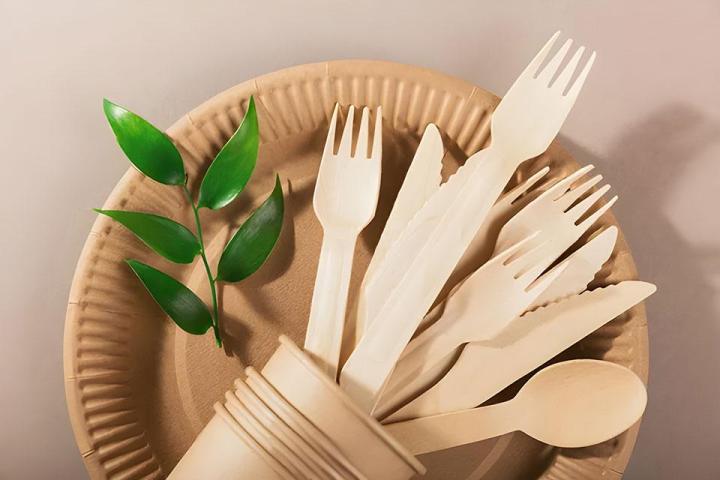 <p>Is Plant-Based Packaging Truly Biodegradable or Compostable?, Montreal</p><p>Can Plant-Based Packaging Actually Be Compostable or Biodegradable?, Montreal</p><p>Is Packaging Made of Plants Actually Biodegradable or Compostable?, Montreal</p>